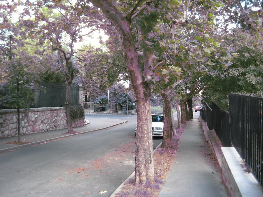 בודפשט Platan Apartman חדר תמונה