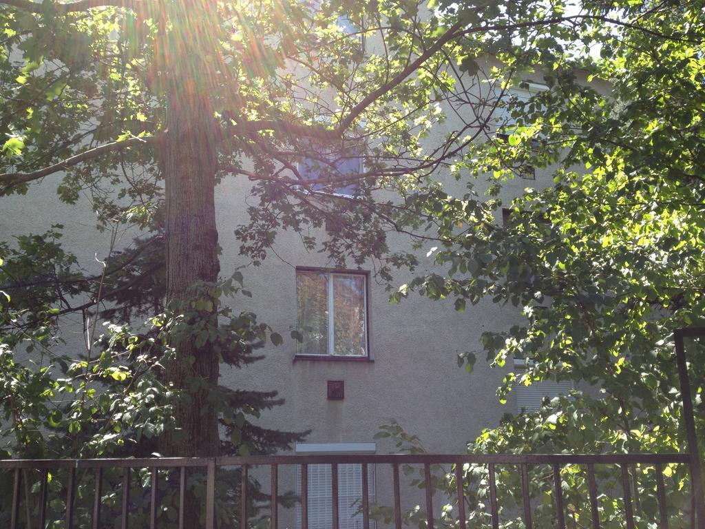 בודפשט Platan Apartman חדר תמונה